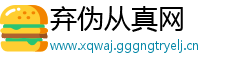 弃伪从真网